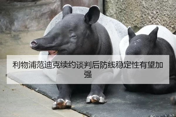 利物浦范迪克续约谈判后防线稳定性有望加强