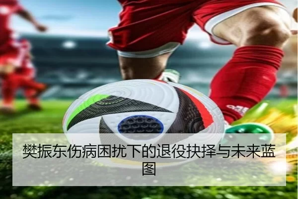 樊振东伤病困扰下的退役抉择与未来蓝图