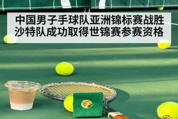 中国男子手球队亚洲锦标赛战胜沙特队成功取得世锦赛参赛资格