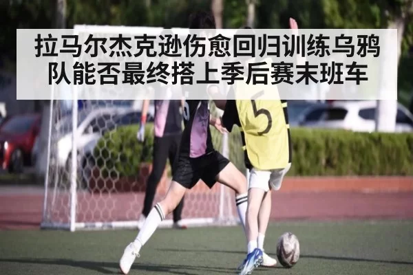 拉马尔杰克逊伤愈回归训练乌鸦队能否最终搭上季后赛末班车